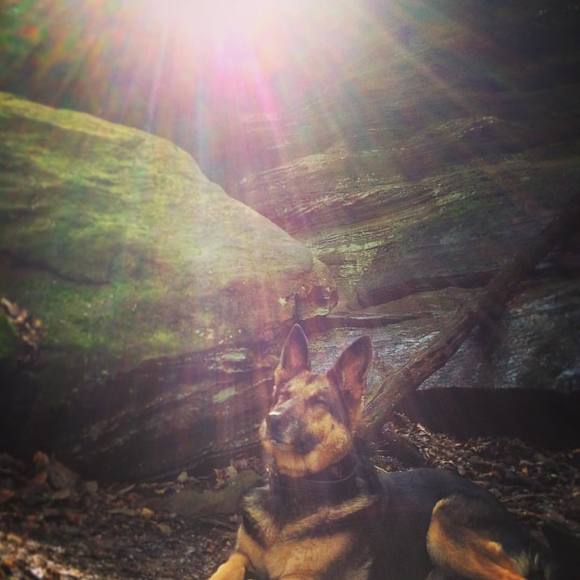 Meet your Posher, Sk - Picture 1 of 1